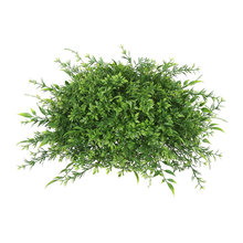 Greenery