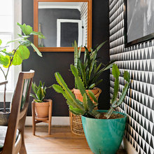 Indoor Plants