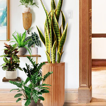 Plant therapy