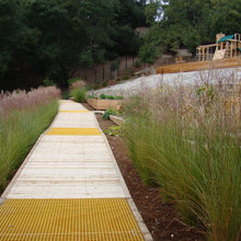 Landscape Ideas