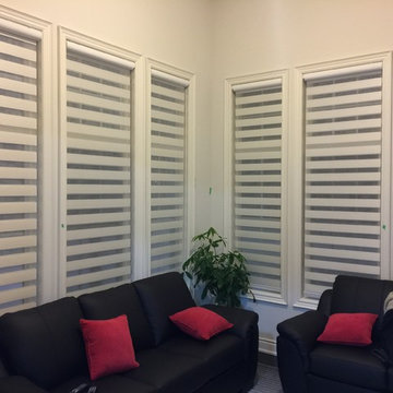 Black and white Zebra shades