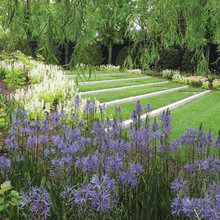 Landscape Expansion