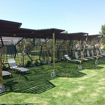 Roof Garden