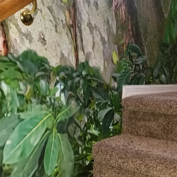 Custom Mural In Stairway In Las Vegas Nevada, Summerlin Home Office