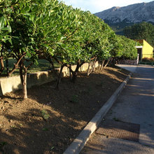 giardino cubotto giallo