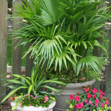Summer Container Gardens