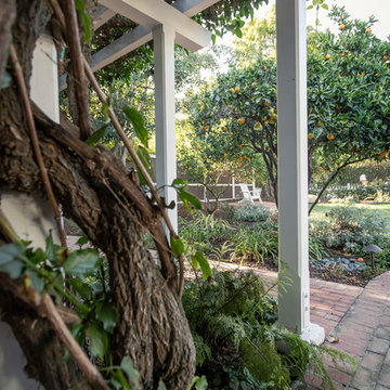 Trellises and Pergolas