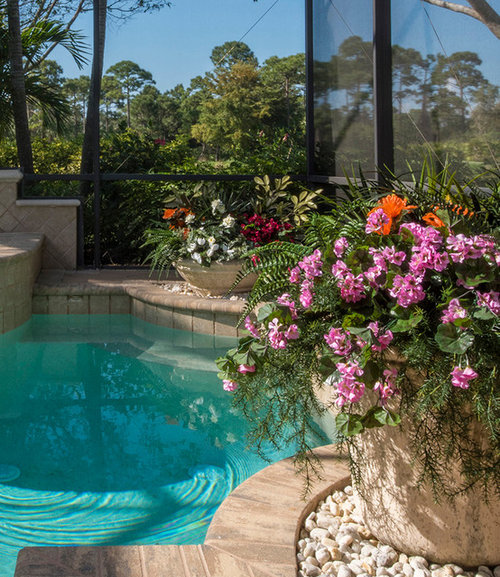 inground pool with lanai