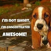 Kim Redmond-Patrey's photo