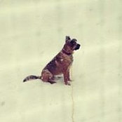 Jillian Masi's photo