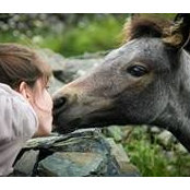Emily Rossi's photo