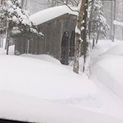 BRENDA DANKO's photo