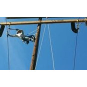 Josh Smith's photo