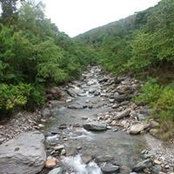 Foto von John Ortega