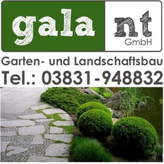 Galant GmbH