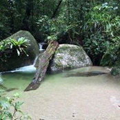 Sandy Armstrong's photo