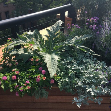Rooftop garden 5