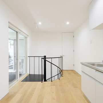SS-House