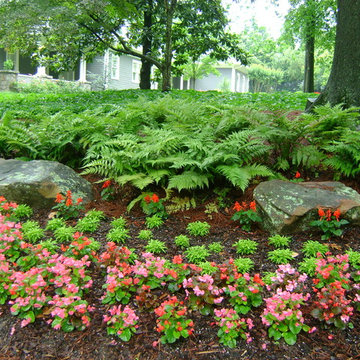 The Joy of Plants!