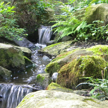 Waterfall and Stream