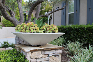 Photo of a mediterranean landscaping in San Diego.