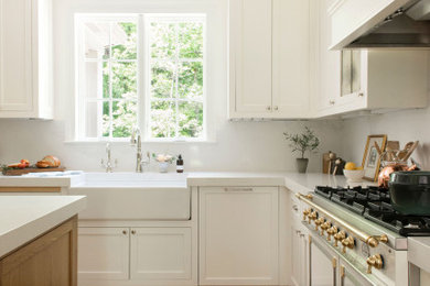 Kitchen - kitchen idea in Nashville