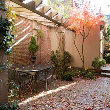 Landscape Ideas