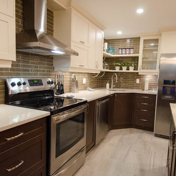 Carling Ave. Kitchen Renovation