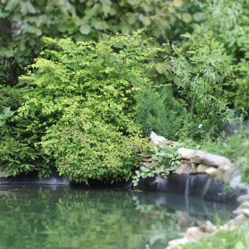 Garten mit fernöstlichen Anklängen