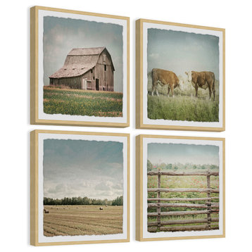 Barn and Cows Quadriptych, Set of 4, 12x12 Panels