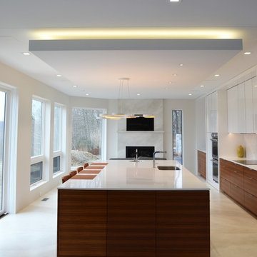 Minimalist Design - New Construction