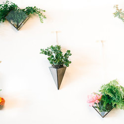 Floral Wall - Products