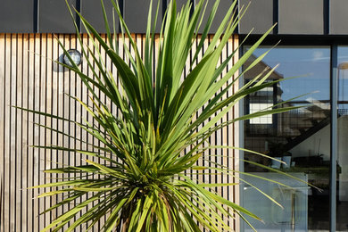 Réalisation d'une façade de maison design.