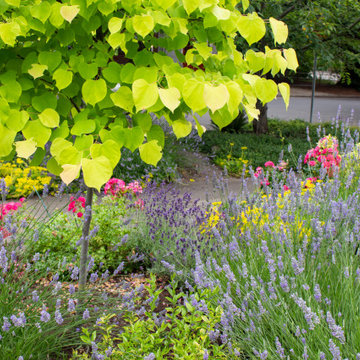 Sabin Habitat Garden