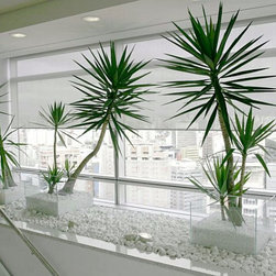BlindSaver Commercial Phifer Sheerweave Solar Screens - Cellular Shades