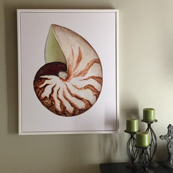 "Breakers Nautilus Shell" Fine Art Print - Fine Art Prints