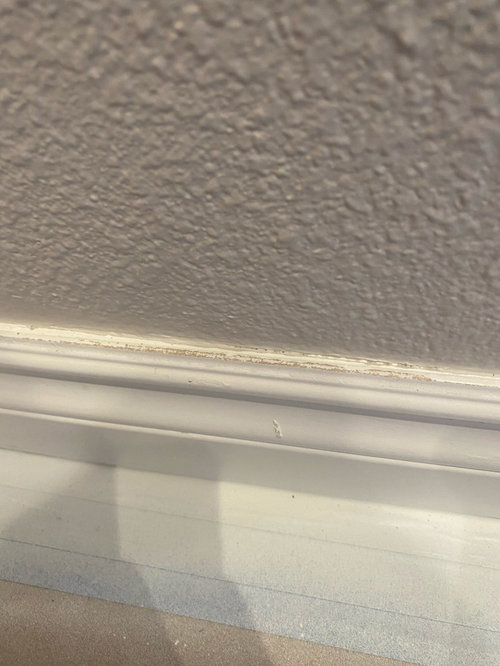 Am I being picky or is this a sloppy interior paint job?