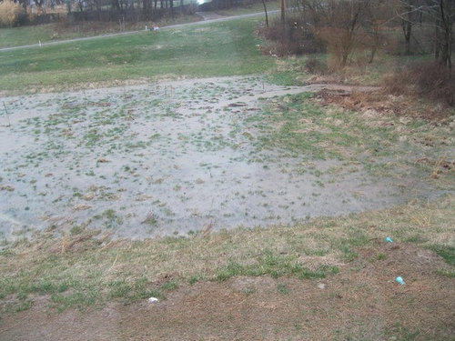 We have a flood in backyard whenever it rains moderately.