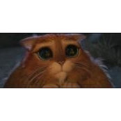 Filbert Cruz's photo