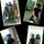 Jayesh Tripathi