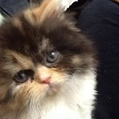 Felicia Pardo's photo