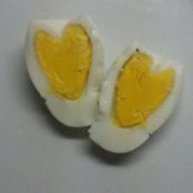 Alessandra Capra's photo