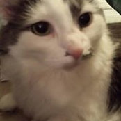 Krissy Wells's photo