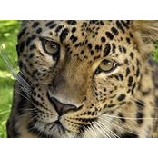 Therese Byerley's photo