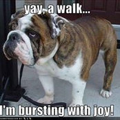 Jackie Catton's photo
