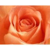 Tabitha Quintana's photo