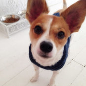 peanutgurlllさんの写真