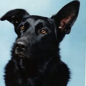 Cathy Casullo's photo