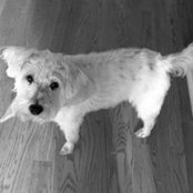 Emily Frey's photo