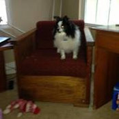 Ann Cornett's photo